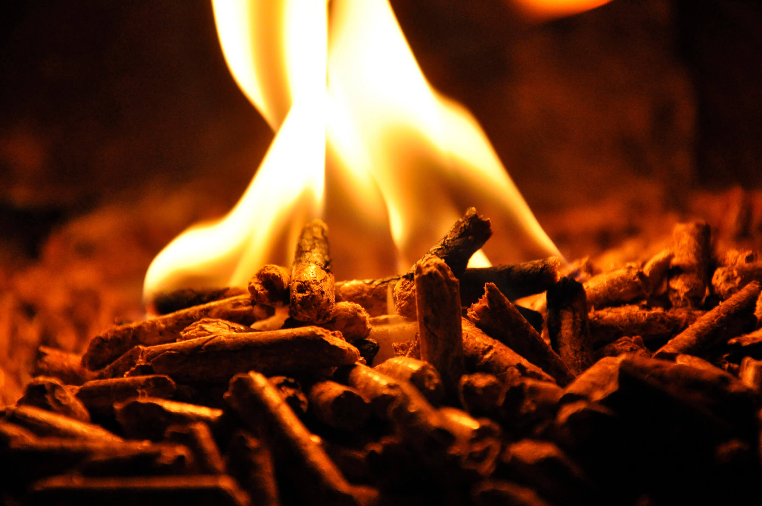 Image Bonjour tout le monde !